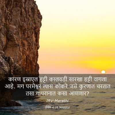 Picture 03 - होशेय 4:16 MARIRV - कारण इस्राएल - Bible Verse Picture