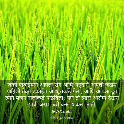 Picture 03 - होशेय 5:13 MARIRV - जेव्हा एफ्राईमाने - Bible Verse Picture