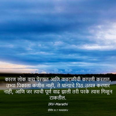 Picture 03 - होशेय 8:7 MARIRV - कारण लोक वारा - Bible Verse Picture