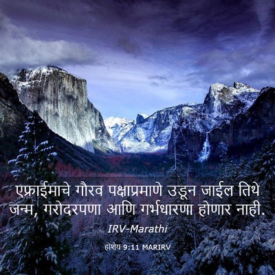 Picture 03 - होशेय 9:11 MARIRV - एफ्राईमाचे गौरव - Bible Verse Picture