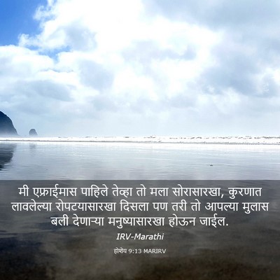 Picture 03 - होशेय 9:13 MARIRV - मी एफ्राईमास - Bible Verse Picture
