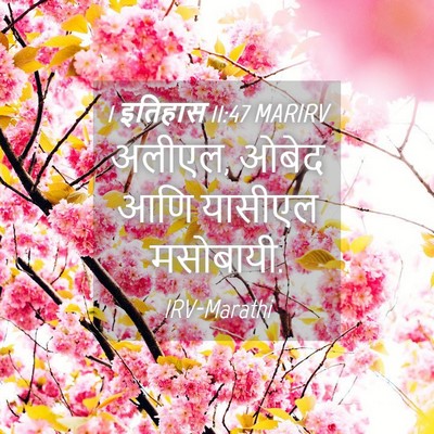 Picture 04 - 1 इतिहास 11:47 MARIRV - अलीएल, ओबेद आणि - Bible Verse Picture