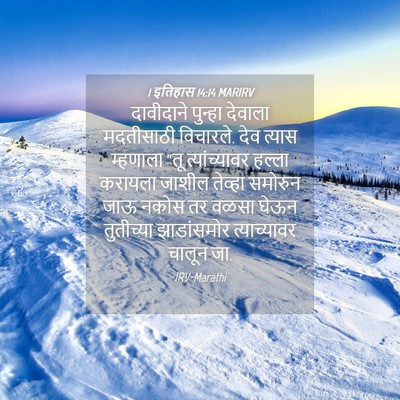 Picture 04 - 1 इतिहास 14:14 MARIRV - दावीदाने पुन्हा - Bible Verse Picture