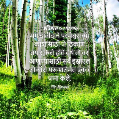 Picture 04 - 1 इतिहास 15:3 MARIRV - मग दावीदाने - Bible Verse Picture