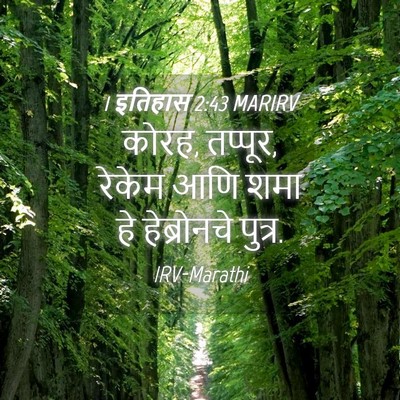 Picture 04 - 1 इतिहास 2:43 MARIRV - कोरह, तप्पूर, रेकेम - Bible Verse Picture