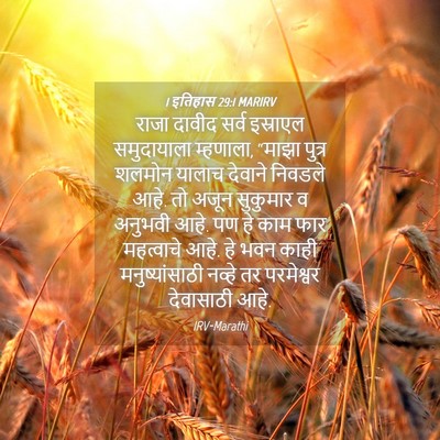 Picture 04 - 1 इतिहास 29:1 MARIRV - राजा दावीद सर्व - Bible Verse Picture