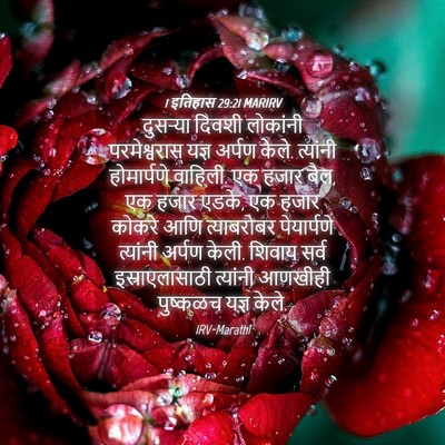 Picture 04 - 1 इतिहास 29:21 MARIRV - दुसऱ्या दिवशी - Bible Verse Picture