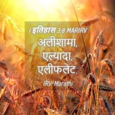 Picture 04 - 1 इतिहास 3:8 MARIRV - अलीशामा, एल्यादा, - Bible Verse Picture