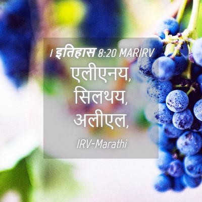 Picture 04 - 1 इतिहास 8:20 MARIRV - एलीएनय, सिलथय, - Bible Verse Picture