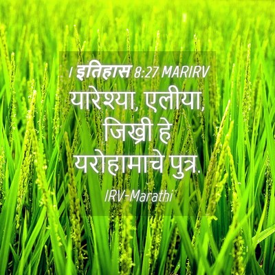Picture 04 - 1 इतिहास 8:27 MARIRV - यारेश्या, एलीया, - Bible Verse Picture