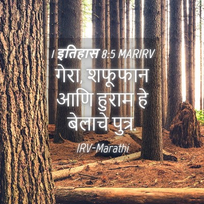 Picture 04 - 1 इतिहास 8:5 MARIRV - गेरा, शफूफान आणि - Bible Verse Picture