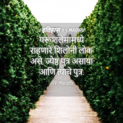 Picture 04 - 1 इतिहास 9:5 MARIRV - यरूशलेमामध्ये - Bible Verse Picture