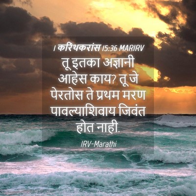 Picture 04 - 1 करिंथकरांस 15:36 MARIRV - तू इतका अज्ञानी - Bible Verse Picture