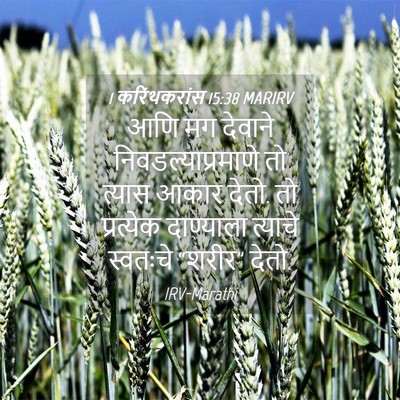Picture 04 - 1 करिंथकरांस 15:38 MARIRV - आणि मग देवाने - Bible Verse Picture