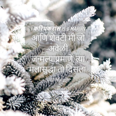 Picture 04 - 1 करिंथकरांस 15:8 MARIRV - आणि शेवटी मी जो - Bible Verse Picture