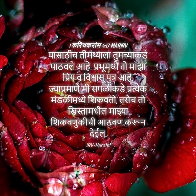 Picture 04 - 1 करिंथकरांस 4:17 MARIRV - यासाठीच तीमथ्याला - Bible Verse Picture