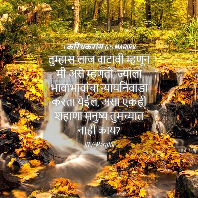 Picture 04 - 1 करिंथकरांस 6:5 MARIRV - तुम्हास लाज - Bible Verse Picture