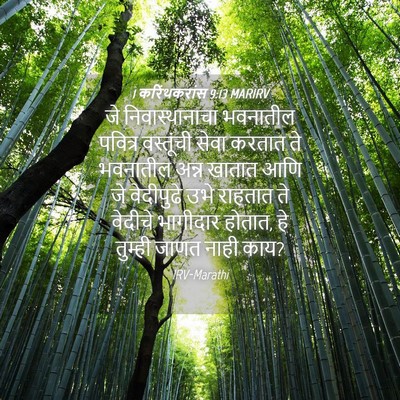 Picture 04 - 1 करिंथकरांस 9:13 MARIRV - जे निवास्थानाचा - Bible Verse Picture