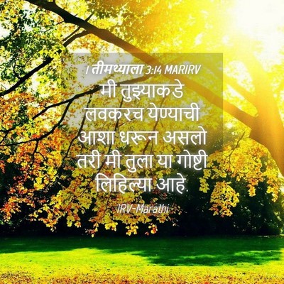 Picture 04 - 1 तीमथ्याला 3:14 MARIRV - मी तुझ्याकडे - Bible Verse Picture