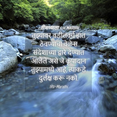 Picture 04 - 1 तीमथ्याला 4:14 MARIRV - तुझ्यावर वडीलवर्ग - Bible Verse Picture
