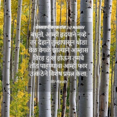 Picture 04 - 1 थेस्सलनीकाकरांस 2:17 MARIRV - बंधूनो, आम्ही - Bible Verse Picture