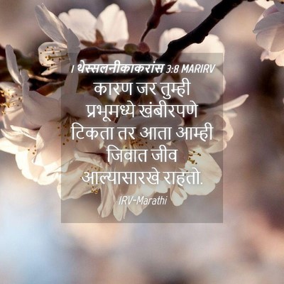 Picture 04 - 1 थेस्सलनीकाकरांस 3:8 MARIRV - कारण जर तुम्ही - Bible Verse Picture