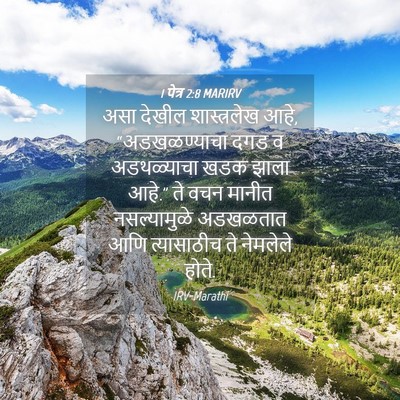 Picture 04 - 1 पेत्र 2:8 MARIRV - असा देखील - Bible Verse Picture