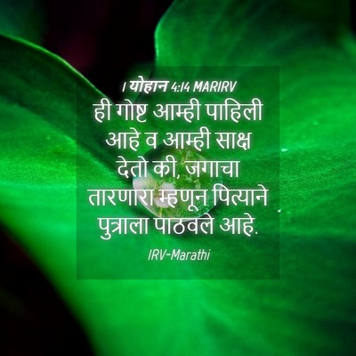 Picture 04 - 1 योहान 4:14 MARIRV - ही गोष्ट आम्ही - Bible Verse Picture