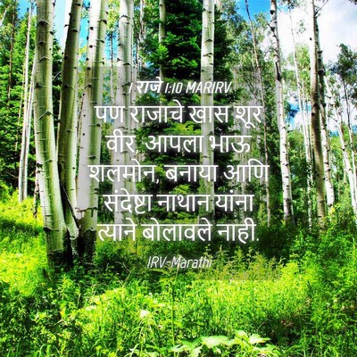 Picture 04 - 1 राजे 1:10 MARIRV - पण राजाचे खास शूर - Bible Verse Picture