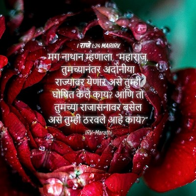 Picture 04 - 1 राजे 1:24 MARIRV - मग नाथान म्हणाला, - Bible Verse Picture