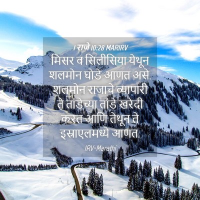 Picture 04 - 1 राजे 10:28 MARIRV - मिसर व सिलीसिया - Bible Verse Picture