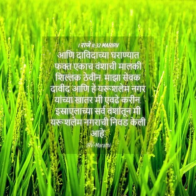 Picture 04 - 1 राजे 11:32 MARIRV - आणि दाविदाच्या - Bible Verse Picture