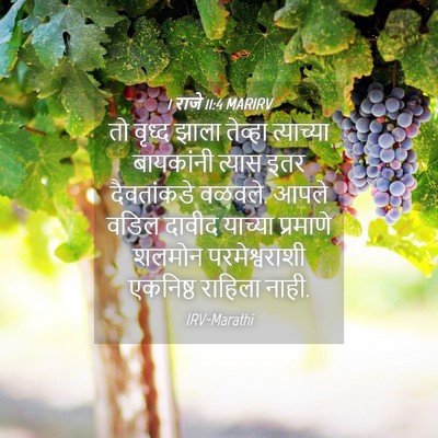 Picture 04 - 1 राजे 11:4 MARIRV - तो वृध्द झाला - Bible Verse Picture