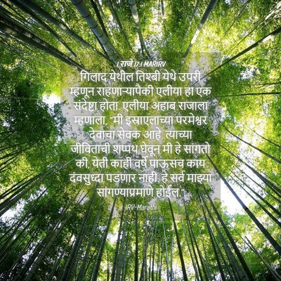 Picture 04 - 1 राजे 17:1 MARIRV - गिलाद येथील - Bible Verse Picture