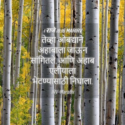 Picture 04 - 1 राजे 18:16 MARIRV - तेव्हा ओबद्याने - Bible Verse Picture