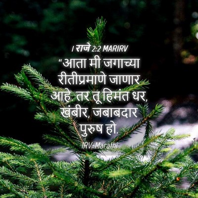 Picture 04 - 1 राजे 2:2 MARIRV - “आता मी जगाच्या - Bible Verse Picture