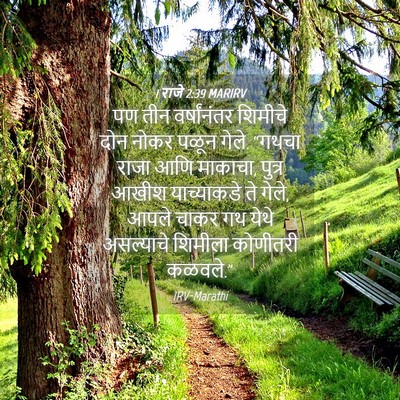 Picture 04 - 1 राजे 2:39 MARIRV - पण तीन वर्षांनंतर - Bible Verse Picture