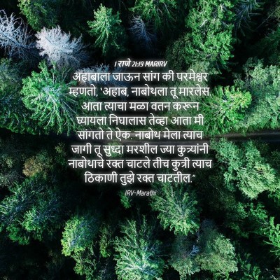 Picture 04 - 1 राजे 21:19 MARIRV - अहाबाला जाऊन सांग - Bible Verse Picture