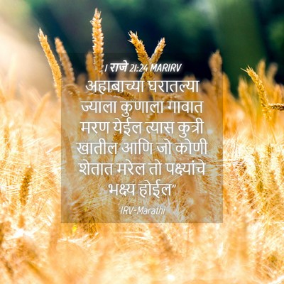 Picture 04 - 1 राजे 21:24 MARIRV - अहाबाच्या - Bible Verse Picture