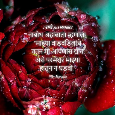 Picture 04 - 1 राजे 21:3 MARIRV - नाबोथ अहाबाला - Bible Verse Picture