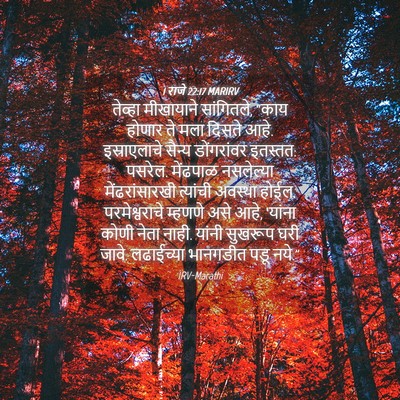 Picture 04 - 1 राजे 22:17 MARIRV - तेव्हा मीखायाने - Bible Verse Picture