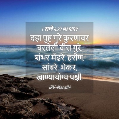 Picture 04 - 1 राजे 4:23 MARIRV - दहा पुष्ट गुरे - Bible Verse Picture