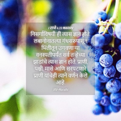 Picture 04 - 1 राजे 4:33 MARIRV - निसर्गाविषयी ही - Bible Verse Picture