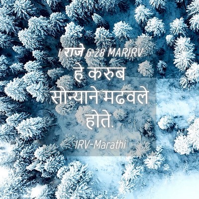 Picture 04 - 1 राजे 6:28 MARIRV - हे करुब सोन्याने - Bible Verse Picture