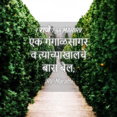 Picture 04 - 1 राजे 7:44 MARIRV - एक गंगाळसागर व - Bible Verse Picture