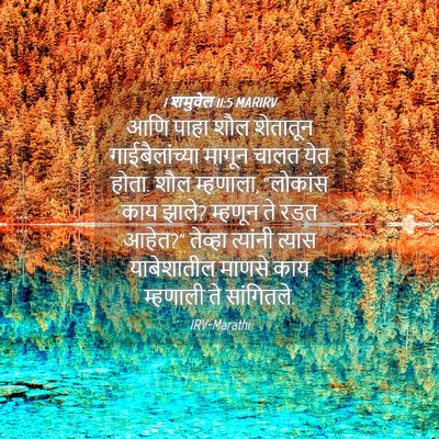 Picture 04 - 1 शमुवेल 11:5 MARIRV - आणि पाहा शौल - Bible Verse Picture