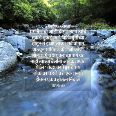 Picture 04 - 1 शमुवेल 11:7 MARIRV - मग बैलांची जोडी - Bible Verse Picture