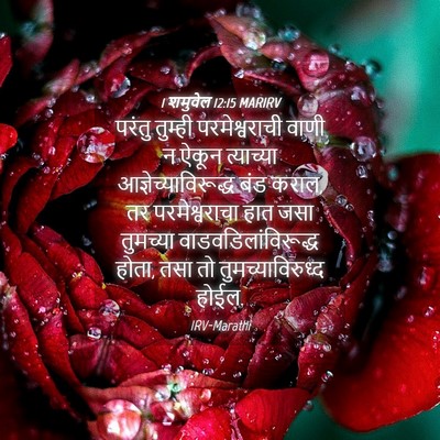 Picture 04 - 1 शमुवेल 12:15 MARIRV - परंतु तुम्ही - Bible Verse Picture