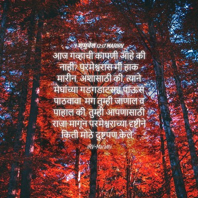 Picture 04 - 1 शमुवेल 12:17 MARIRV - आज गव्हाची कापणी - Bible Verse Picture