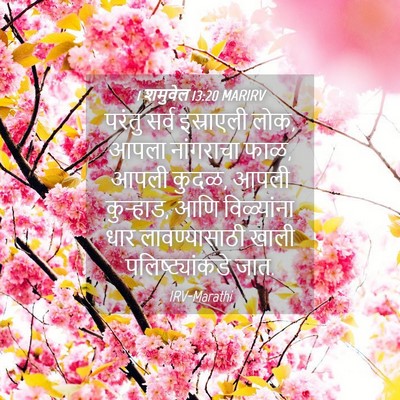 Picture 04 - 1 शमुवेल 13:20 MARIRV - परंतु सर्व - Bible Verse Picture